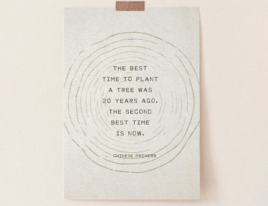 Chinese proverb "the best time to plant a tree was 20 years ago, the second best time is now"