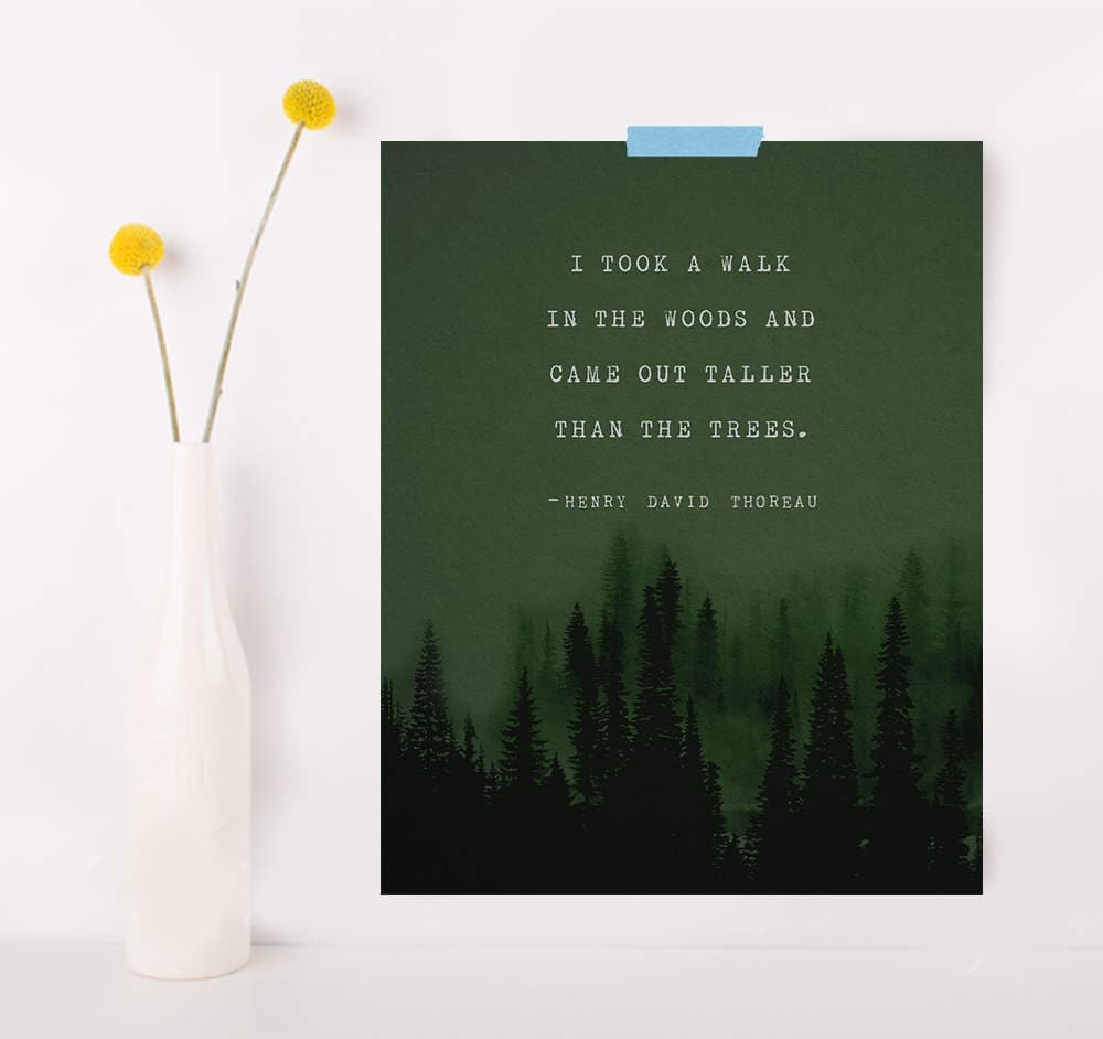Henry David Thoreau quote art "I took a walk in the woods and came out taller than the trees"