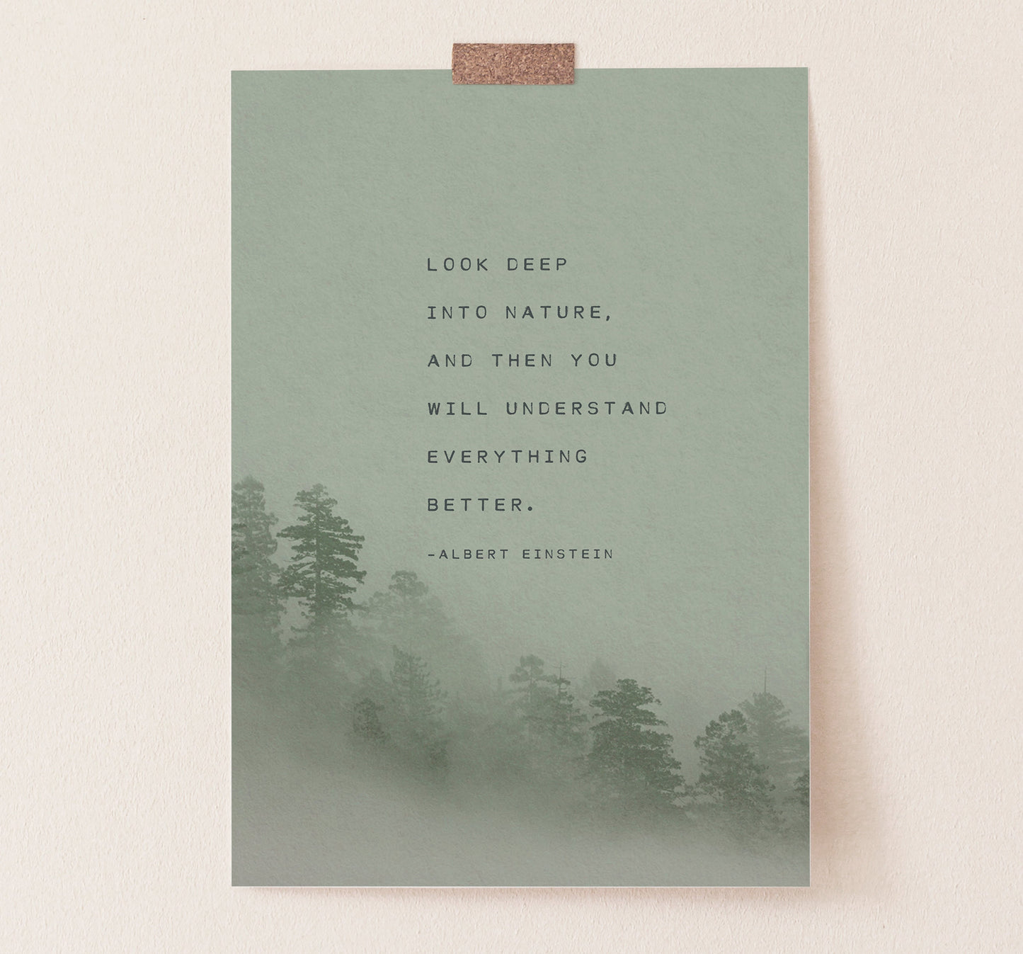 Albert Einstein Quote about nature