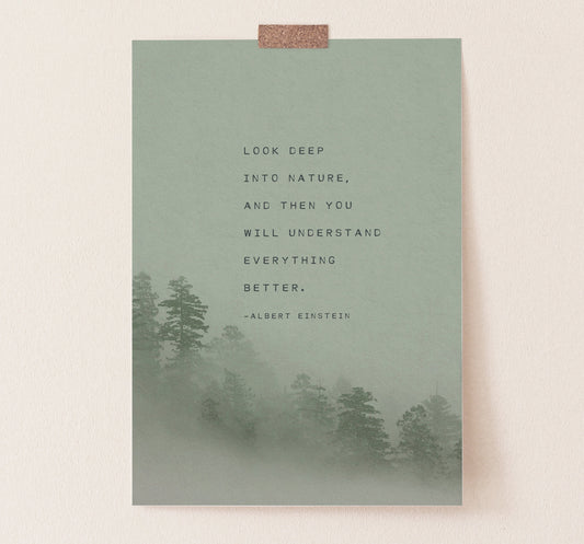 Albert Einstein Quote about nature