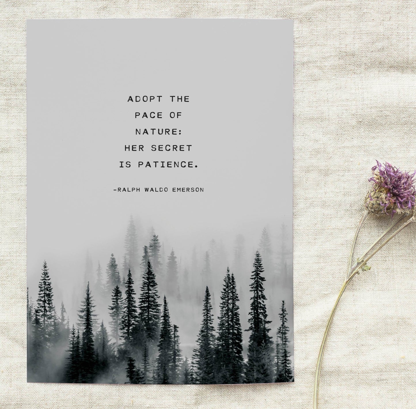 Ralph Waldo Emerson Quote "Adopt the Pace of Nature, her secret is patience" wall art